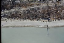 Aerial view of Central Beach and beach house